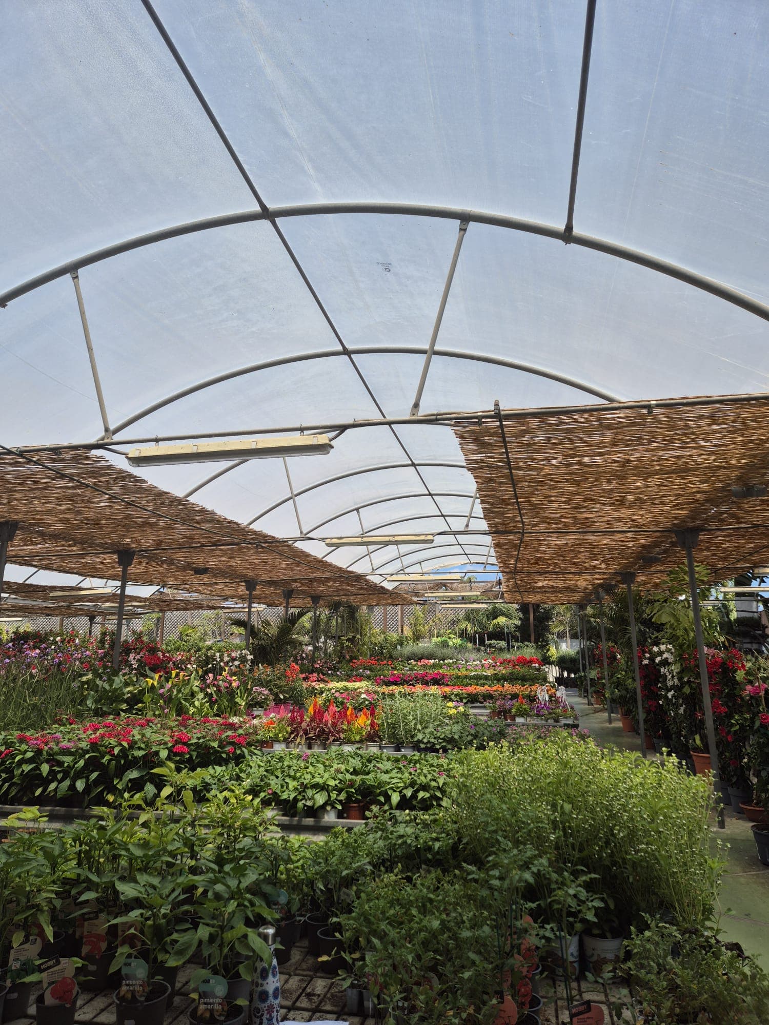 Instalaciones del Garden Center Linda Vista