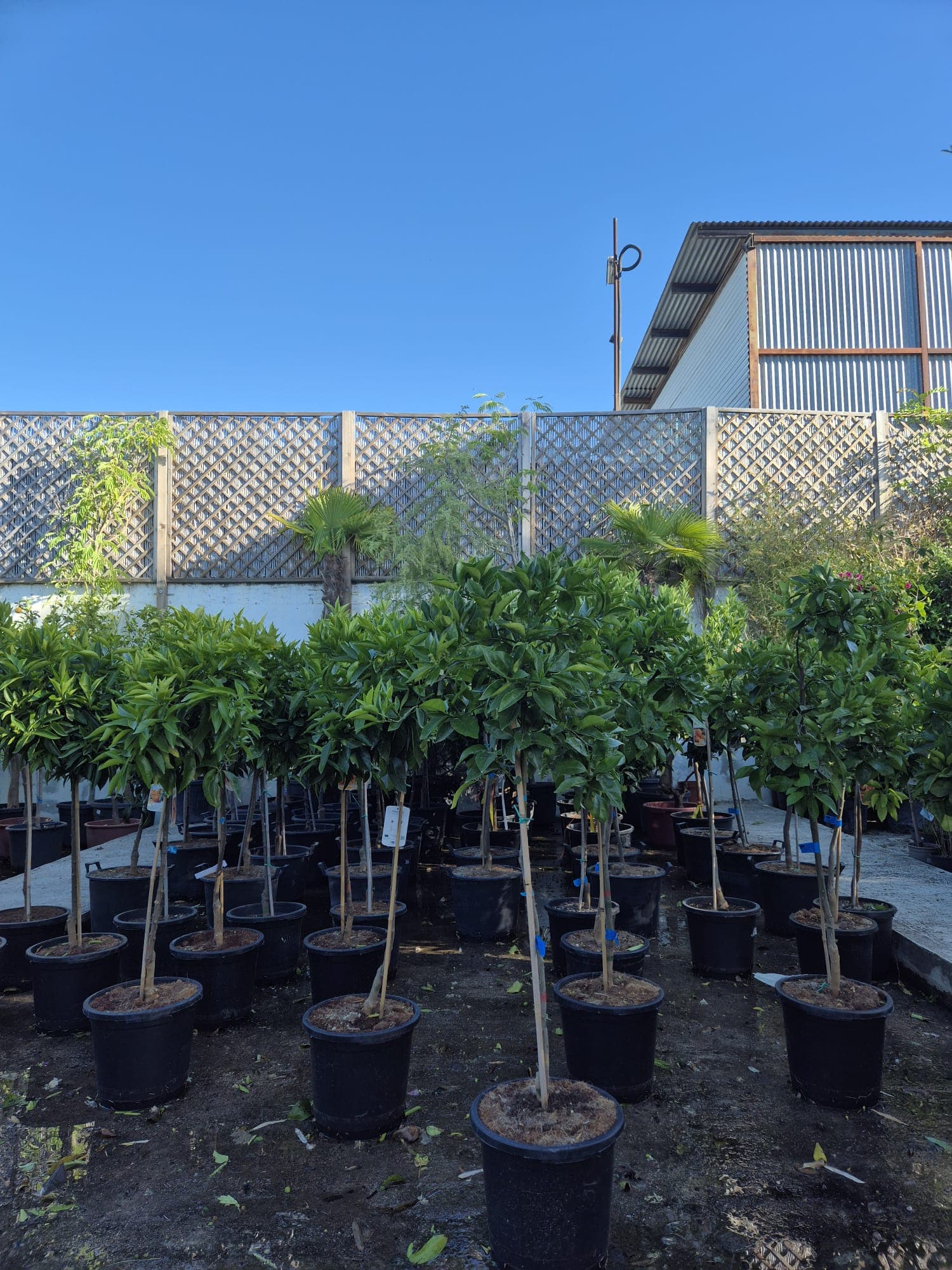 Instalaciones del Garden Center Linda Vista