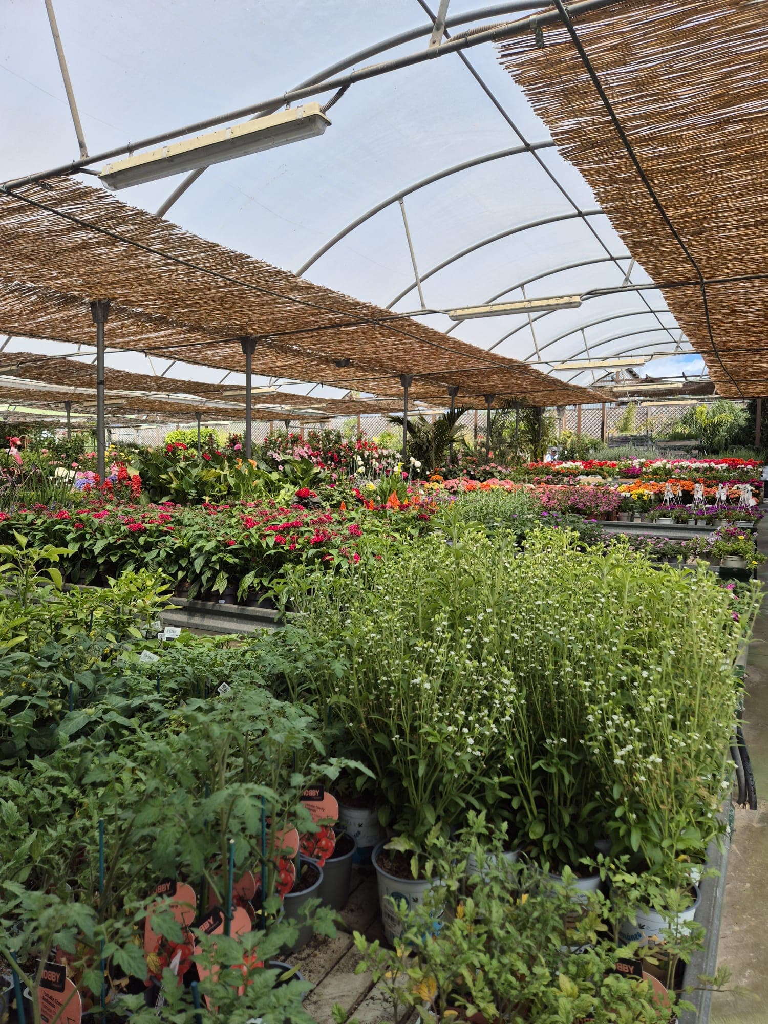 Instalaciones del Garden Center Linda Vista