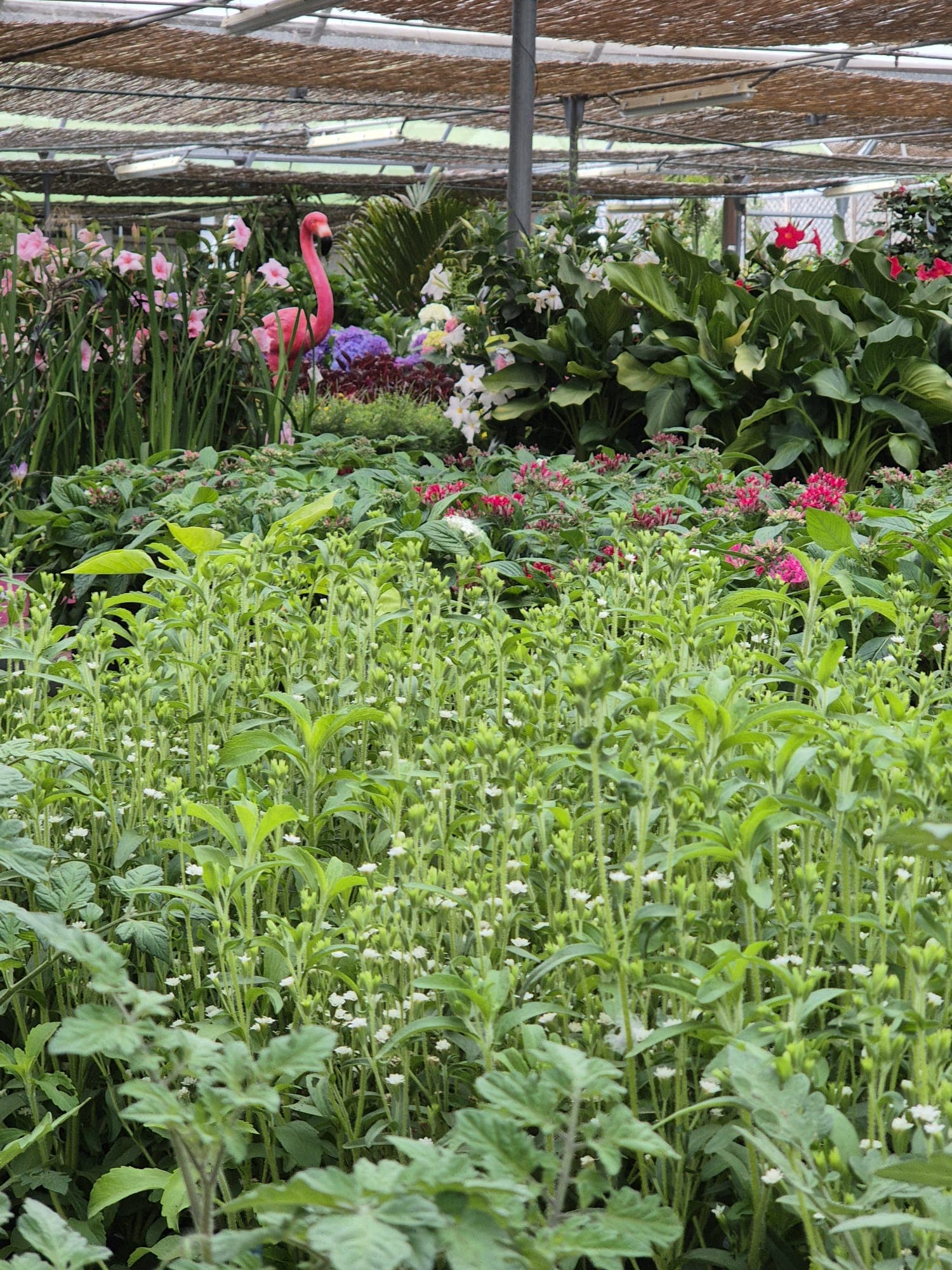 Instalaciones del Garden Center Linda Vista
