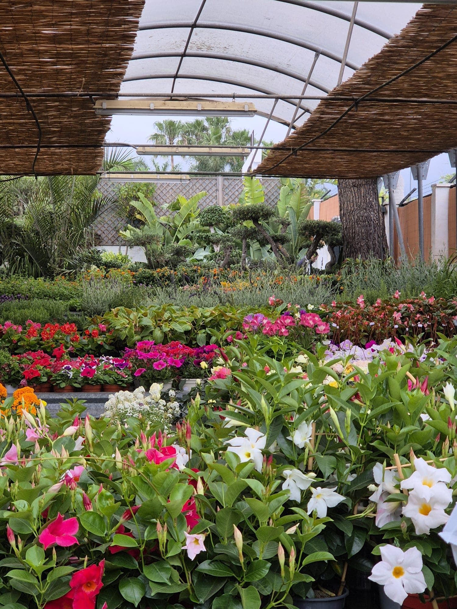 Instalaciones del Garden Center Linda Vista