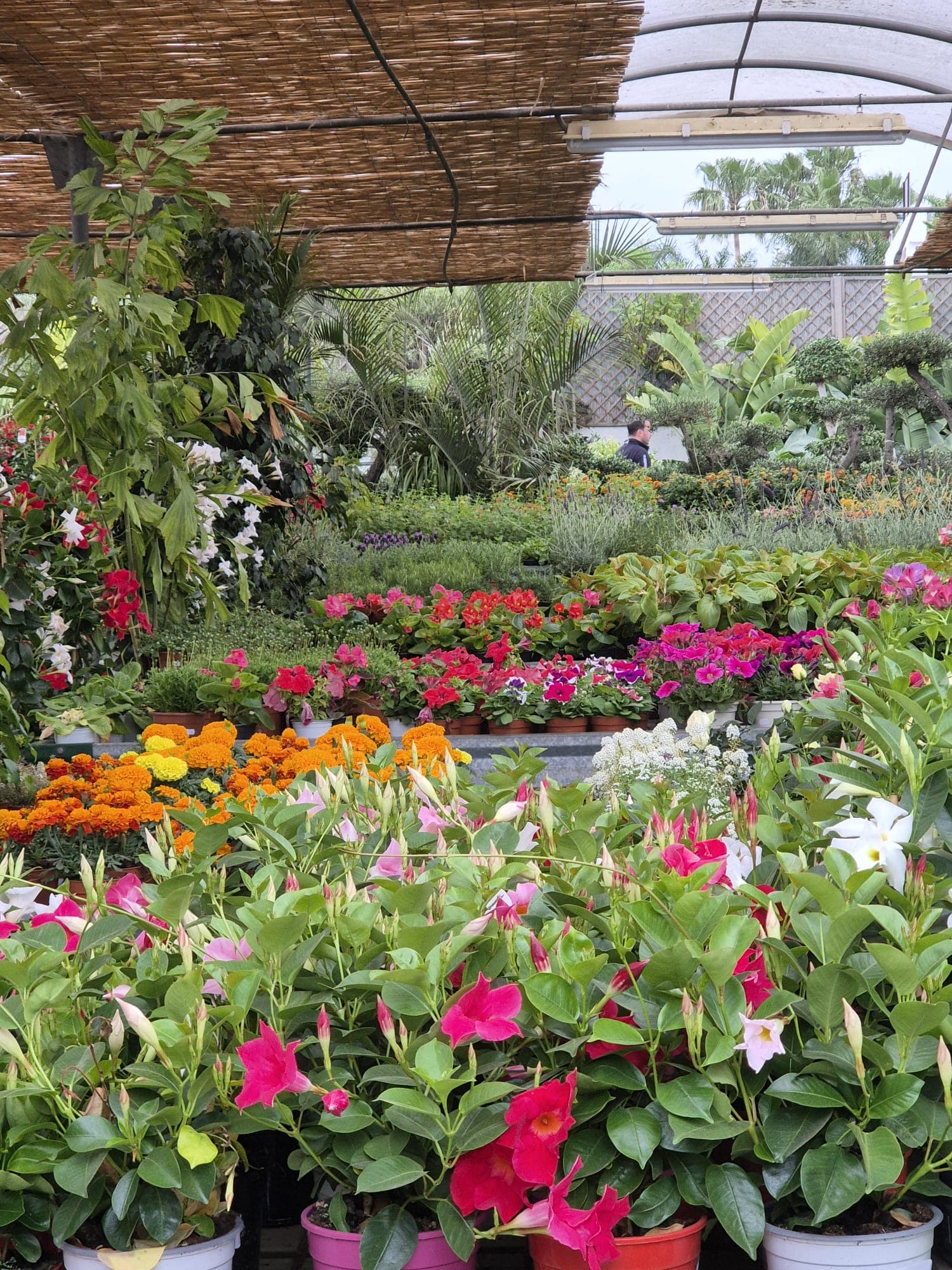 Instalaciones del Garden Center Linda Vista