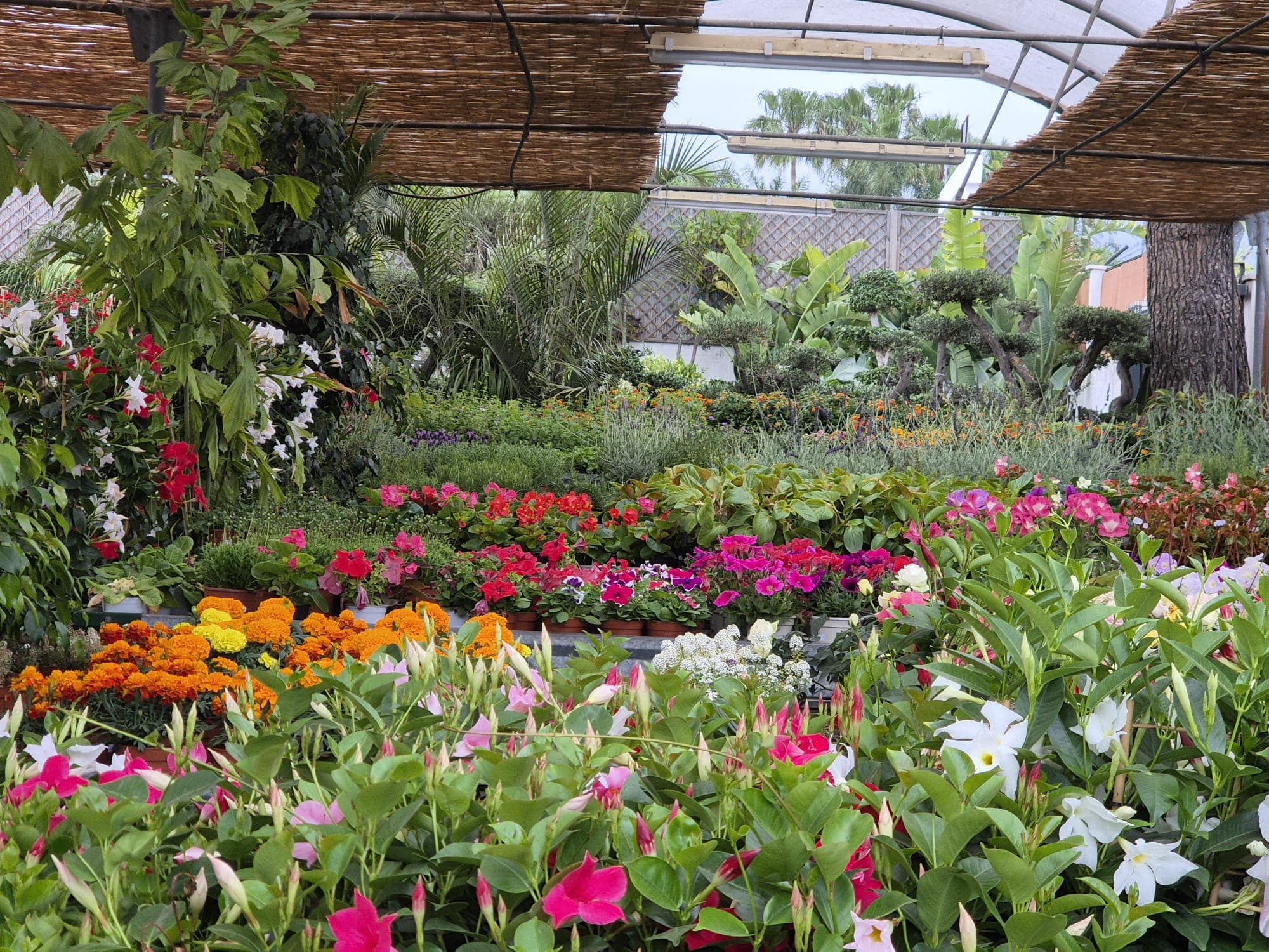 Instalaciones del Garden Center Linda Vista