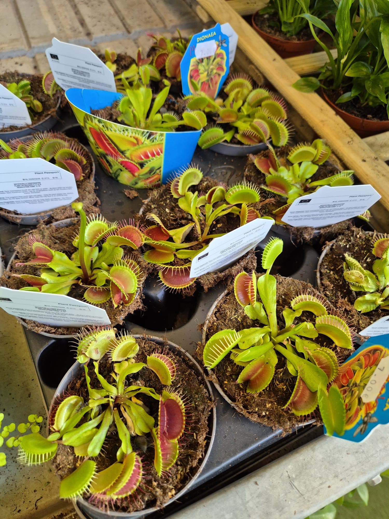 Instalaciones del Garden Center Linda Vista