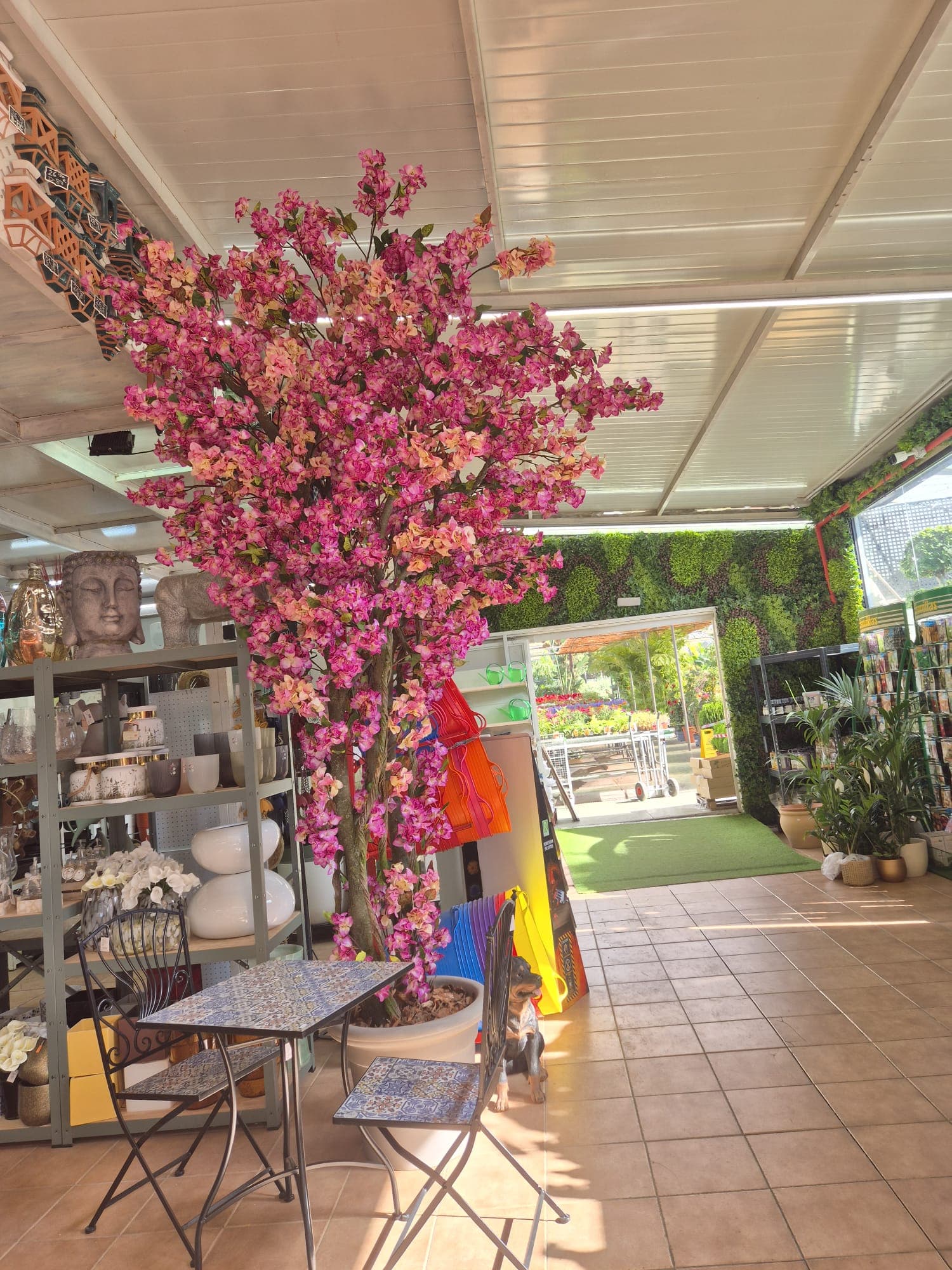 Instalaciones del Garden Center Linda Vista