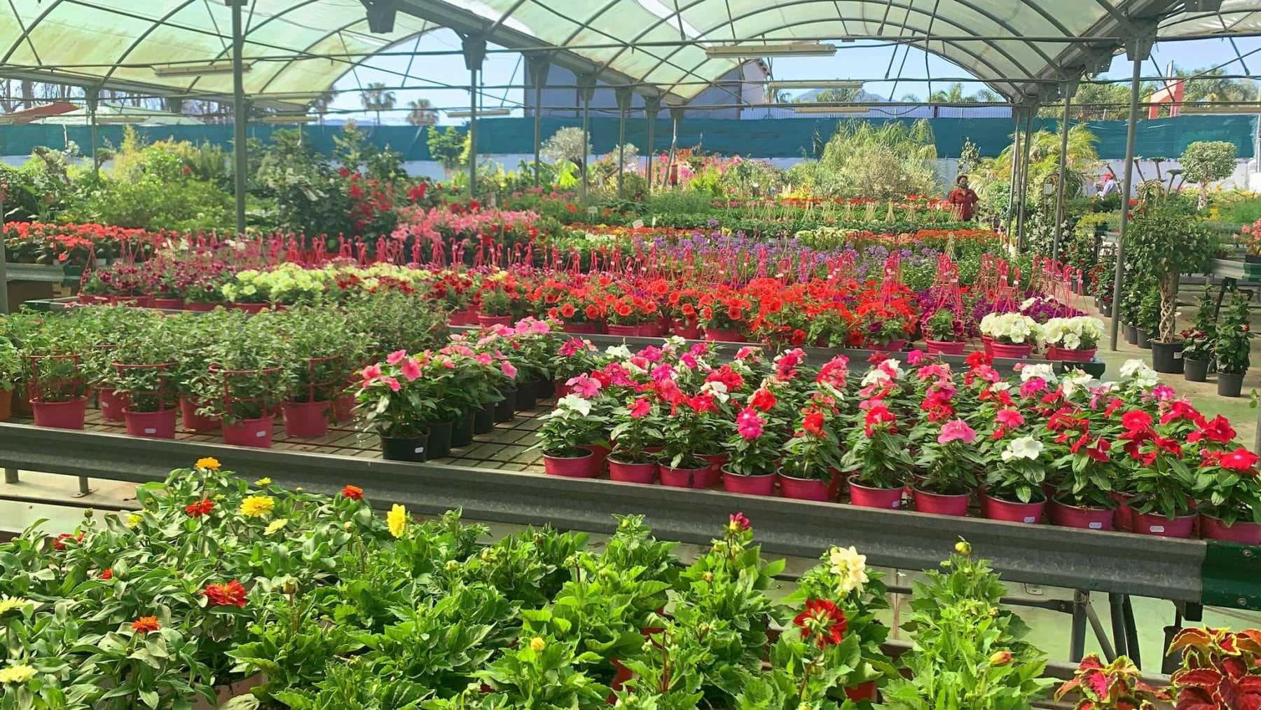 Artículos de decoración de jardín y alfarería esmaltada