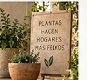 Plantas hacen hogares más felices